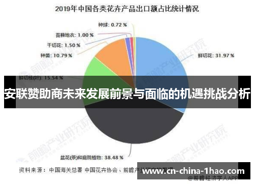 安联赞助商未来发展前景与面临的机遇挑战分析