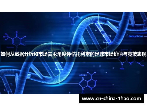 如何从数据分析和市场需求角度评估托利索的足球市场价值与竞技表现 如何从数据分析和市场需求角度评估托利索的足球市场价值与竞技表现