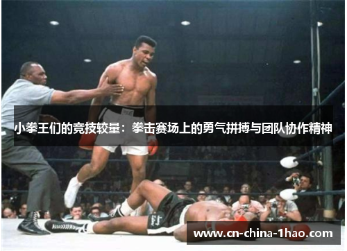小拳王们的竞技较量：拳击赛场上的勇气拼搏与团队协作精神