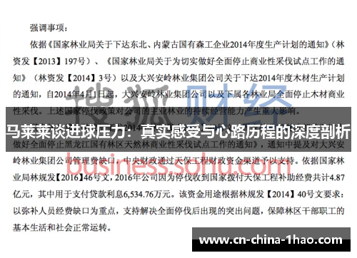 马莱莱谈进球压力：真实感受与心路历程的深度剖析